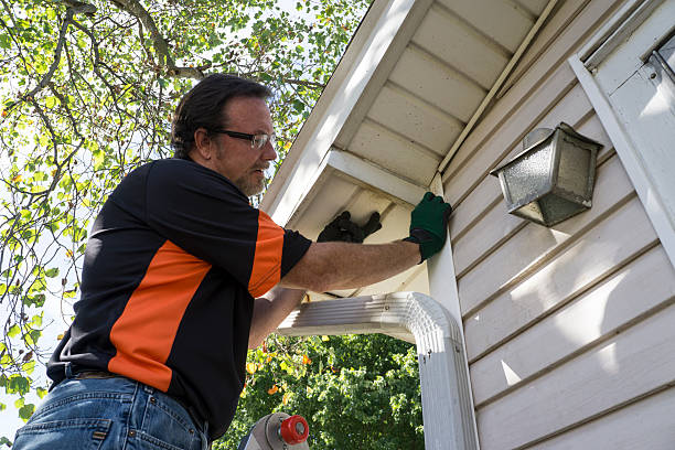 Best Same-Day Junk Removal Services  in Dundee, NY